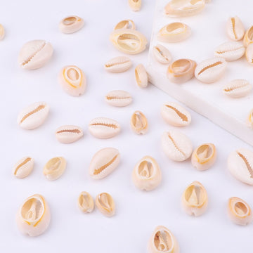 DIY Natural Seashell Beads Jewlery Making Supplies