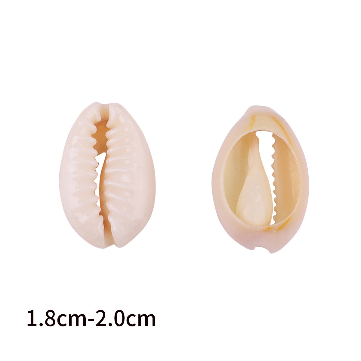 DIY Natural Seashell Beads Jewlery Making Supplies