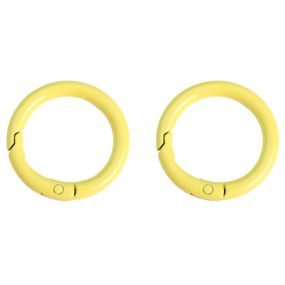 Alloy Spring Ring Clasps Keychain (Painted Finish, 30mm)